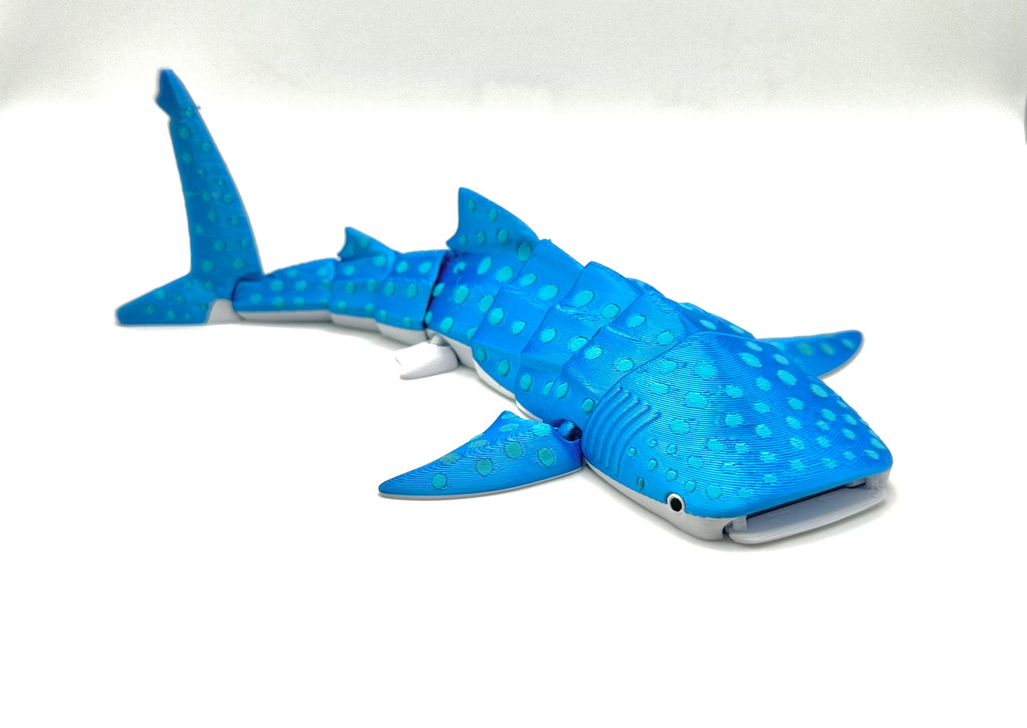 Whale Shark