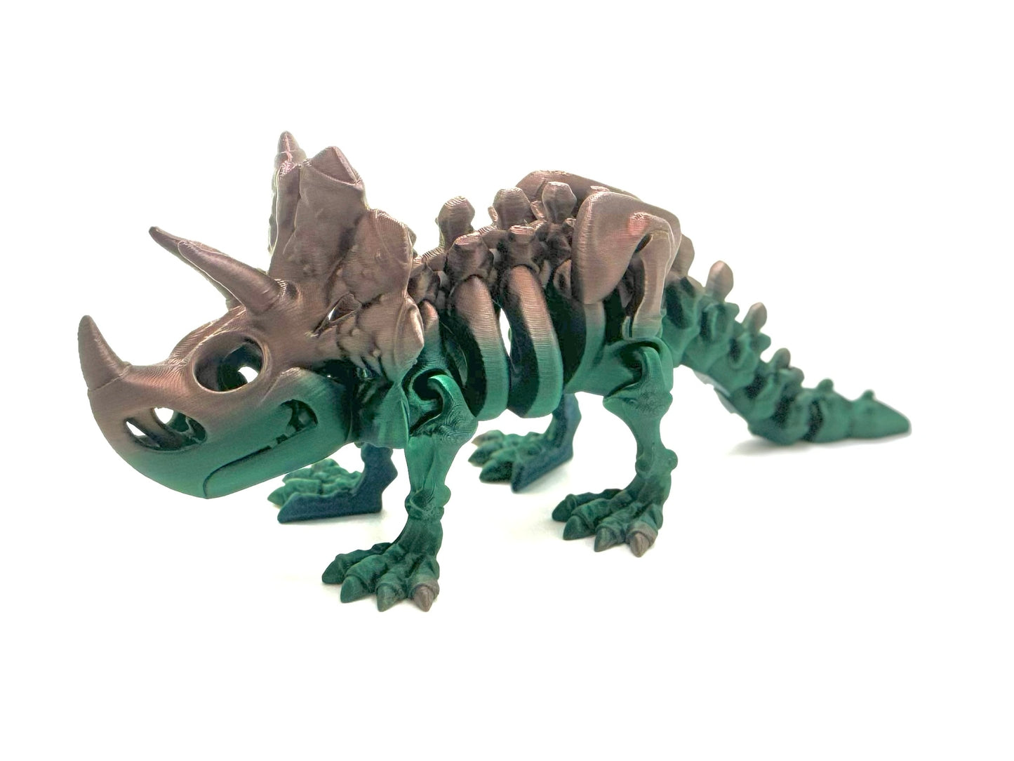 Skeleton Triceratops