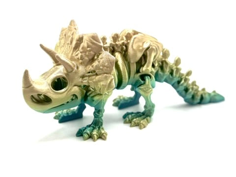 Skeleton Triceratops