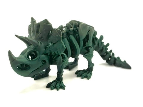 Skeleton Triceratops