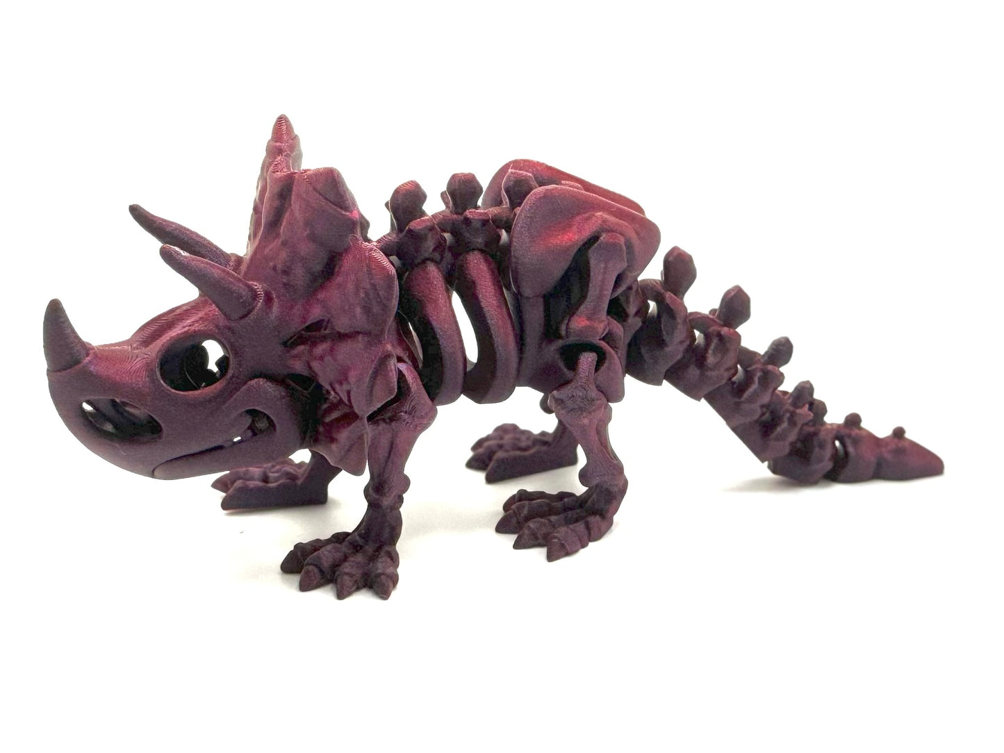 Skeleton Triceratops