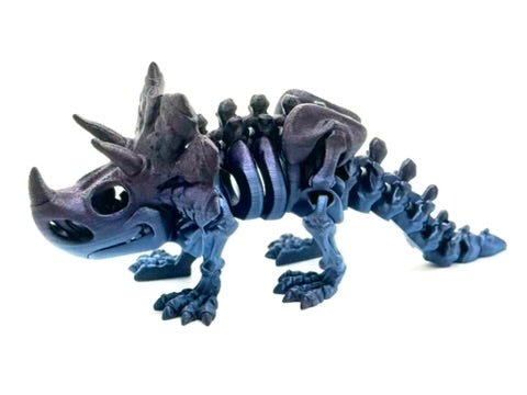 Skeleton Triceratops