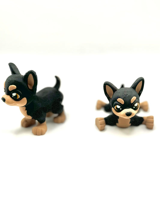Chihuahua