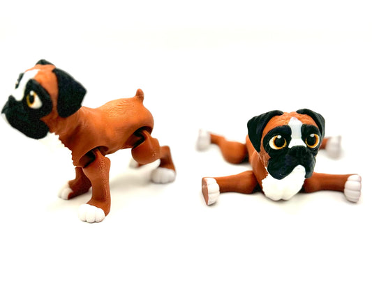 Boxer