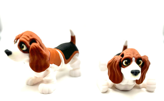 Basset Hound